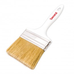 Economy brush 100x15